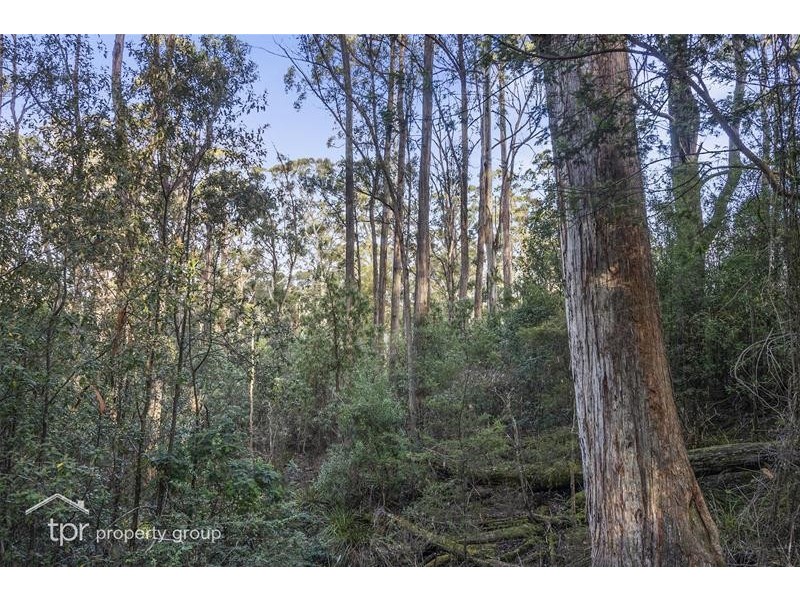 820 Cygnet Coast Road, Petcheys Bay TAS 7109