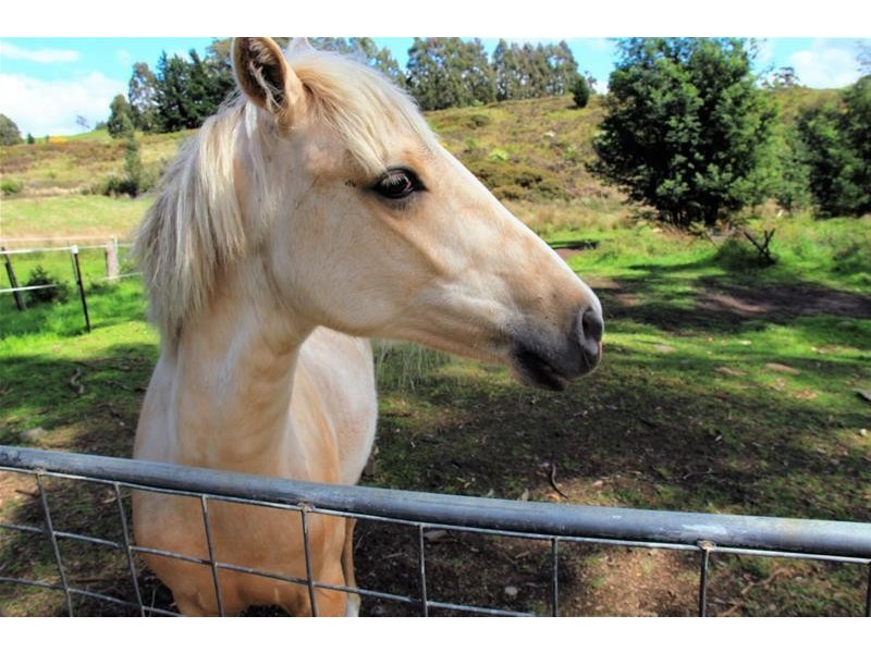 2 Rileys Creek Road, Geeveston TAS 7116