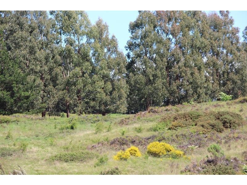 2 Rileys Creek Road, Geeveston TAS 7116