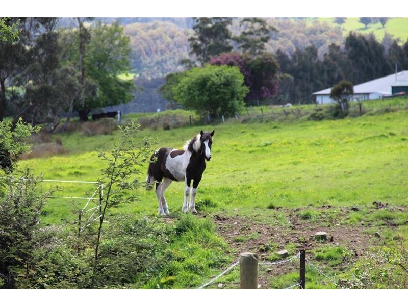 2 Rileys Creek Road, Geeveston TAS 7116