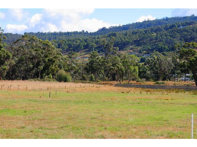 10 Ellison Street, Huonville TAS 7109