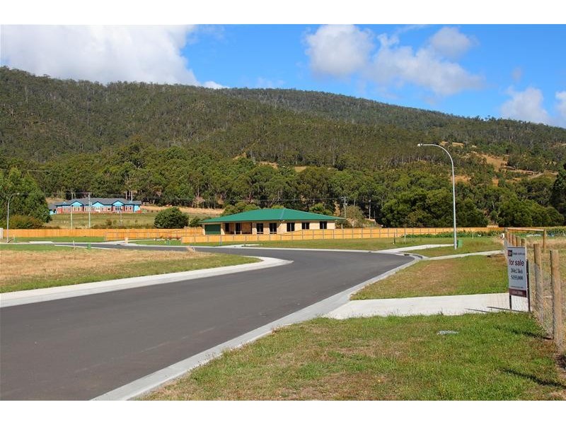 10 Ellison Street, Huonville TAS 7109