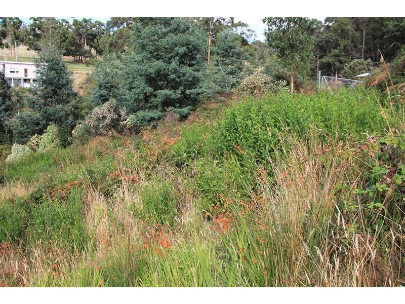 Lot/1 Esperance Coast Road, Dover TAS 7117