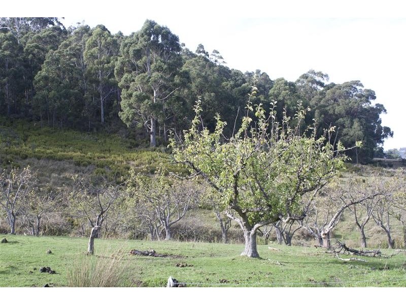 44 Dwyers Road, Port Huon TAS 7116