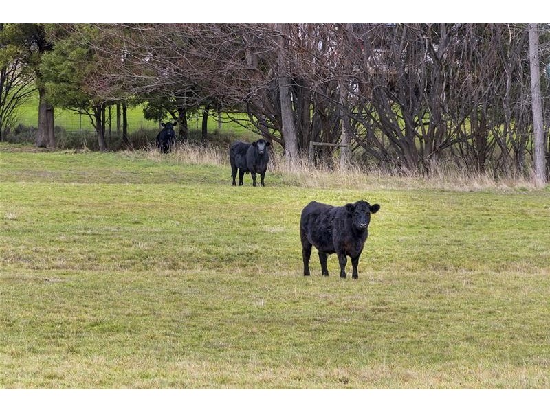 23 Dip Road, Mountain River TAS 7109