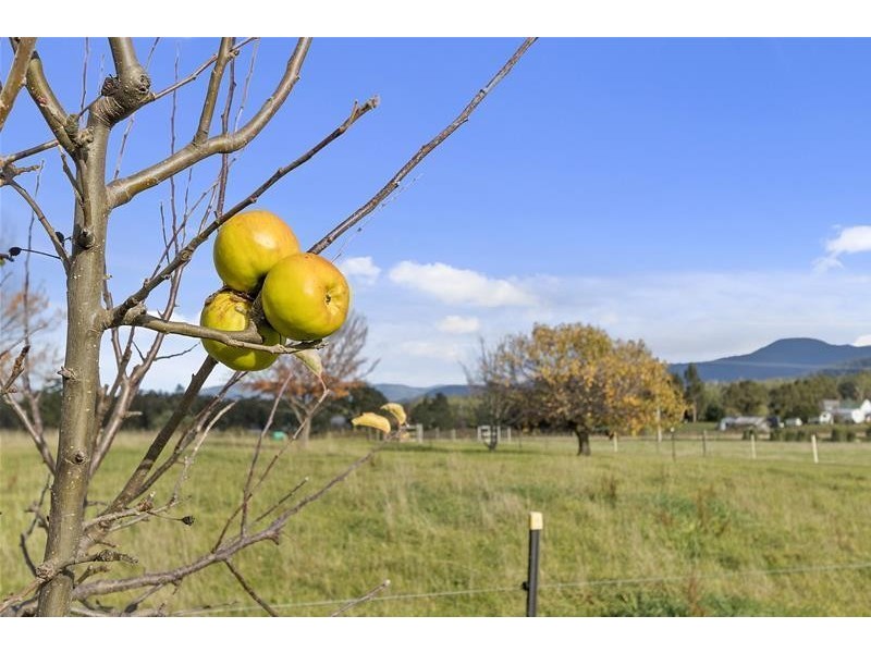 23 Dip Road, Mountain River TAS 7109