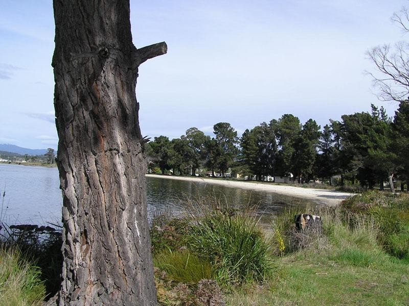 2 Fritton Drive, Dover TAS 7117