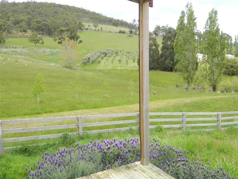 1194 Cygnet Coast Road, Lower Wattle Grove TAS 7109