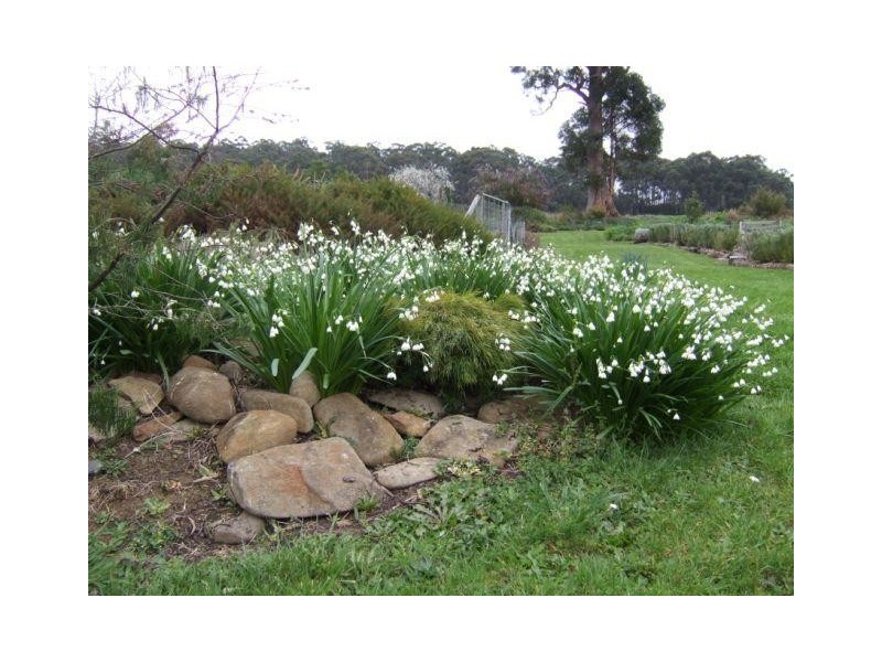 3752 Huon Highway, Franklin TAS 7113