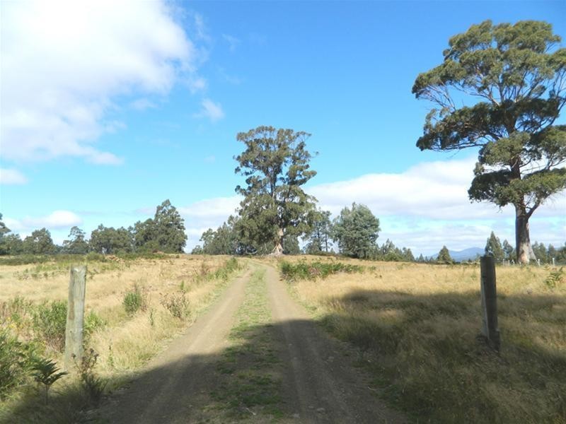 372 Harwoods Road, Castle Forbes Bay TAS 7116