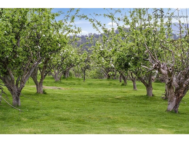 64 Doodys Hill Road, Port Huon TAS 7116