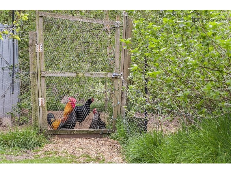 64 Doodys Hill Road, Port Huon TAS 7116