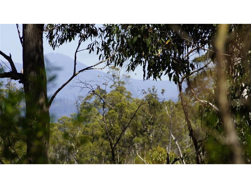 243618/1 Bermuda Road, Glen Huon TAS 7109