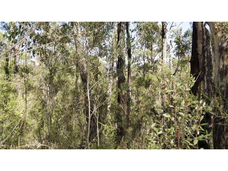 243618/1 Bermuda Road, Glen Huon TAS 7109