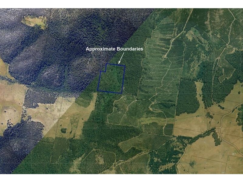 243618/1 Bermuda Road, Glen Huon TAS 7109