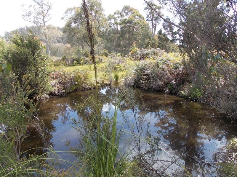 165 Krauses Road, Lower Longley TAS 7109