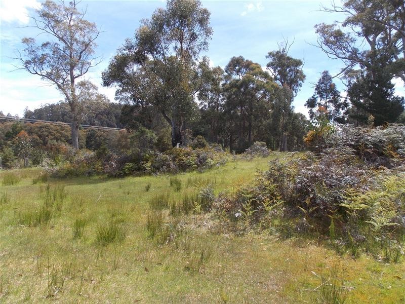 165 Krauses Road, Lower Longley TAS 7109