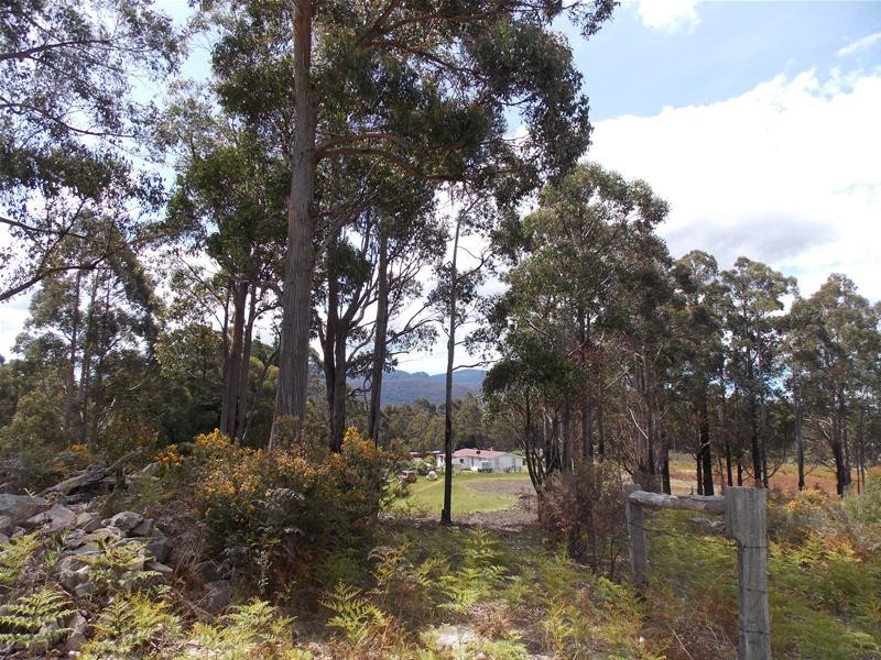 165 Krauses Road, Lower Longley TAS 7109