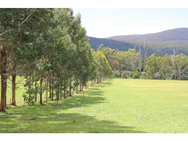 1100 Lonnavale Road, Lonnavale TAS 7109