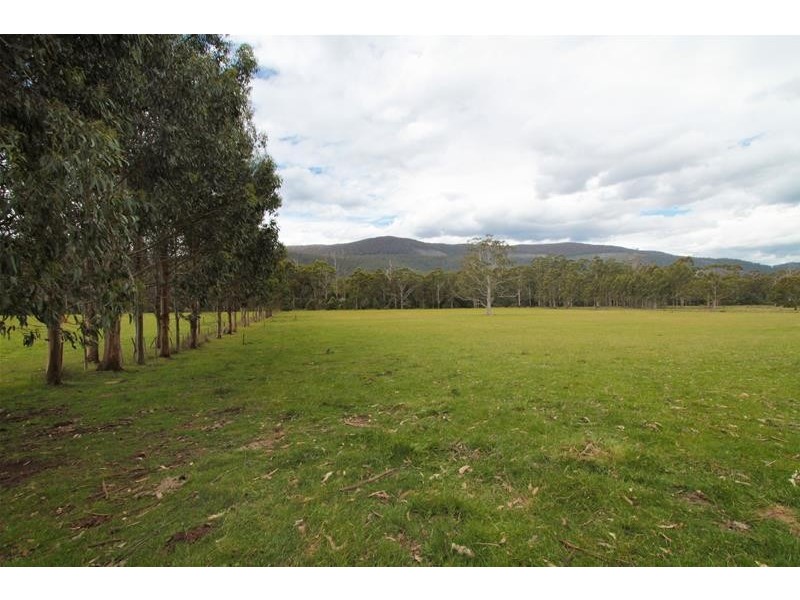 1100 Lonnavale Road, Lonnavale TAS 7109