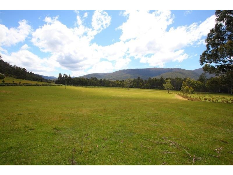 1100 Lonnavale Road, Lonnavale TAS 7109