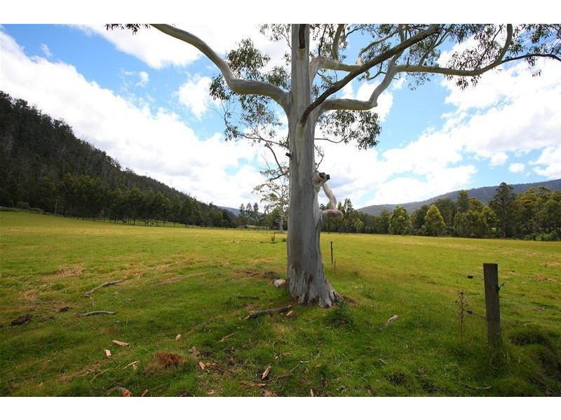 1100 Lonnavale Road, Lonnavale TAS 7109