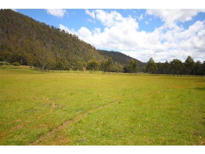 1100 Lonnavale Road, Lonnavale TAS 7109