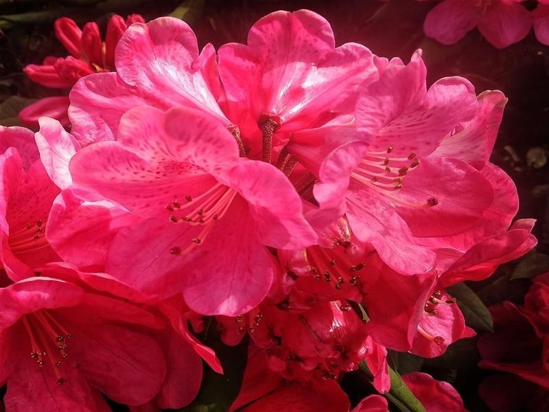 419 Police Point Road, Police Point TAS 7116