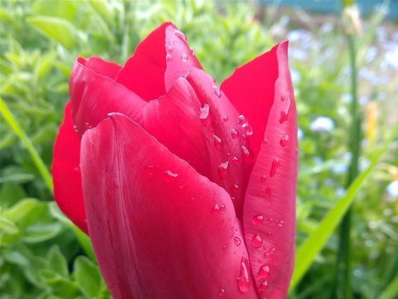 419 Police Point Road, Police Point TAS 7116