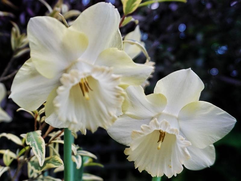 419 Police Point Road, Police Point TAS 7116