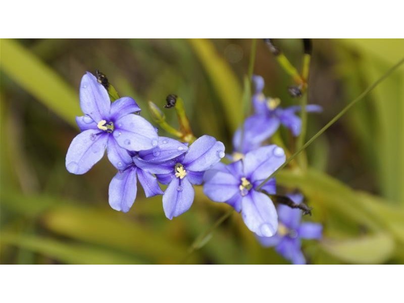 5 Pottery Road, Dover TAS 7117