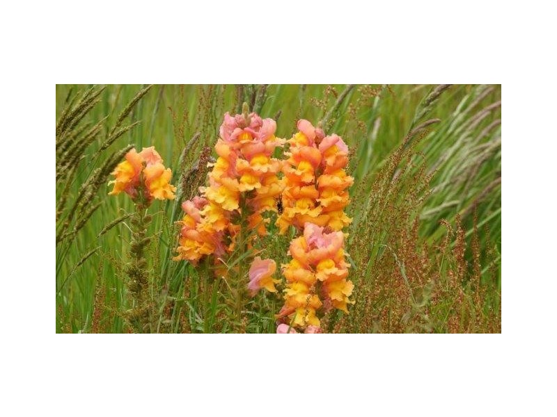 5 Pottery Road, Dover TAS 7117