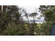 5 Pottery Road, Dover TAS 7117
