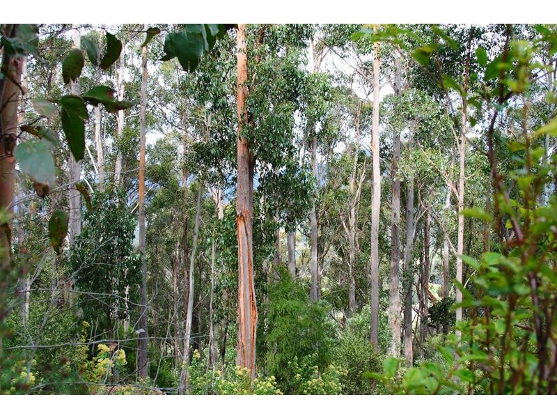 LOT 1 Crouch’s Hill Road, Lucaston TAS 7109