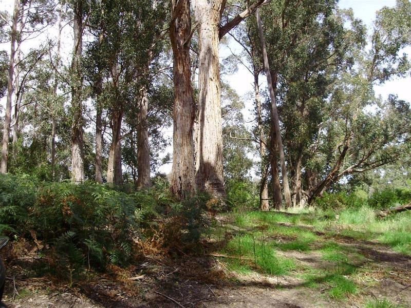 LOT 1 Guys Road, Cygnet TAS 7112