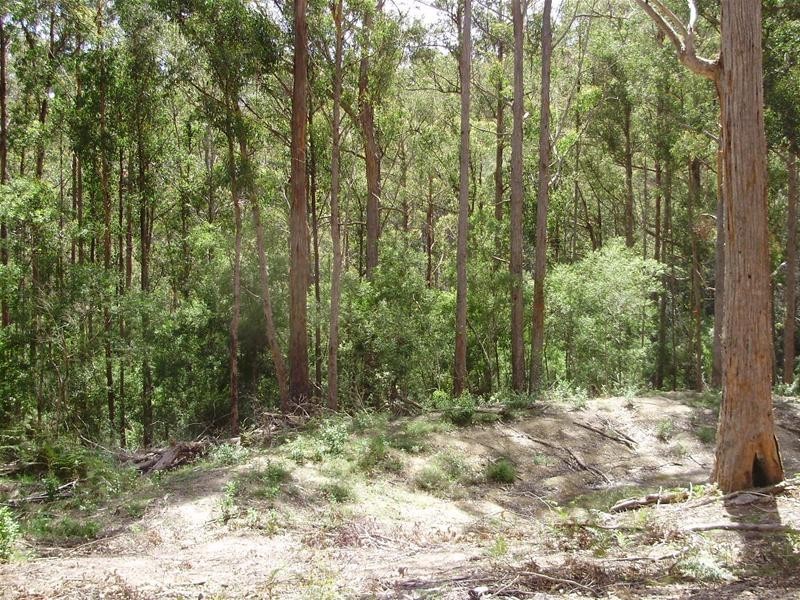 LOT 1 Guys Road, Cygnet TAS 7112