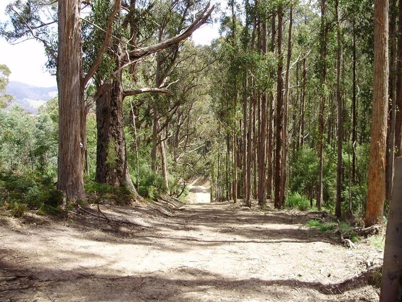 LOT 1 Guys Road, Cygnet TAS 7112