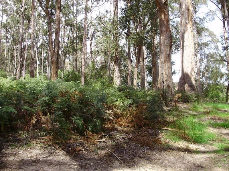 LOT 1 Guys Road, Cygnet TAS 7112