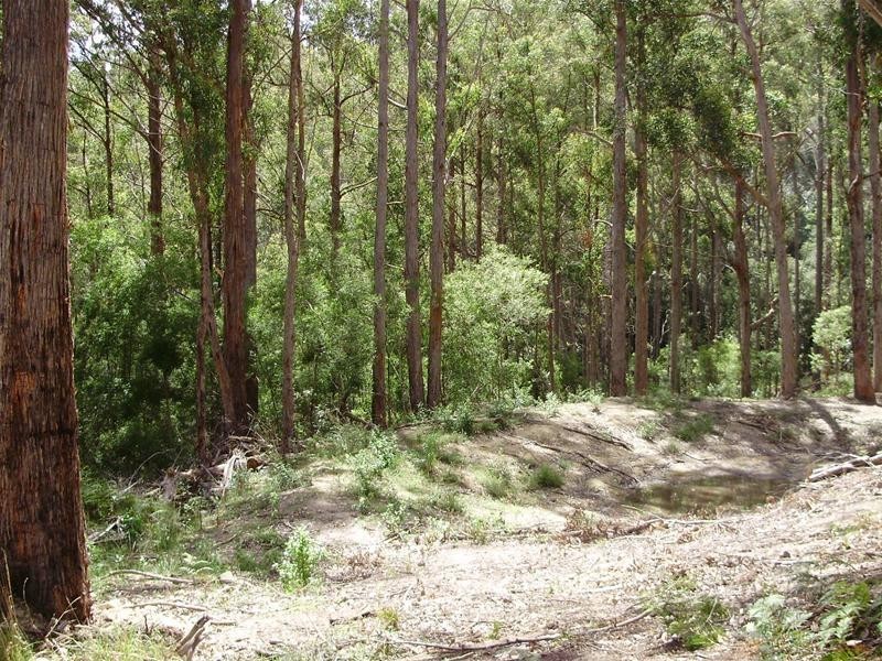 LOT 1 Guys Road, Cygnet TAS 7112