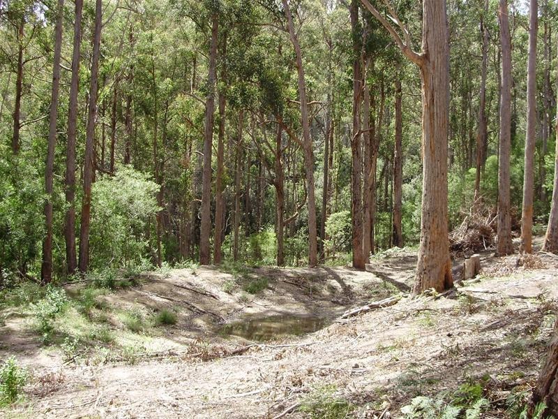 LOT 1 Guys Road, Cygnet TAS 7112