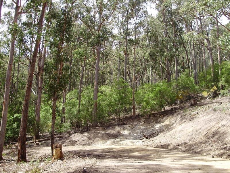 LOT 1 Guys Road, Cygnet TAS 7112