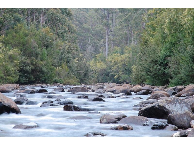 Lot 1 Russell Road, Lonnavale TAS 7109