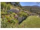107 Waggs Gully Road, Ranelagh TAS 7109