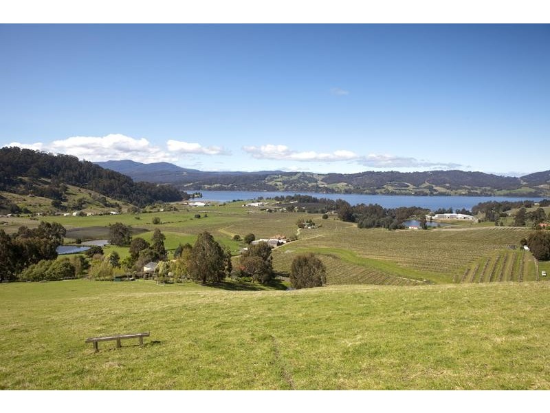 119 Crowthers Road, Castle Forbes Bay TAS 7116