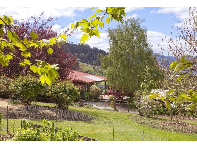 119 Crowthers Road, Castle Forbes Bay TAS 7116