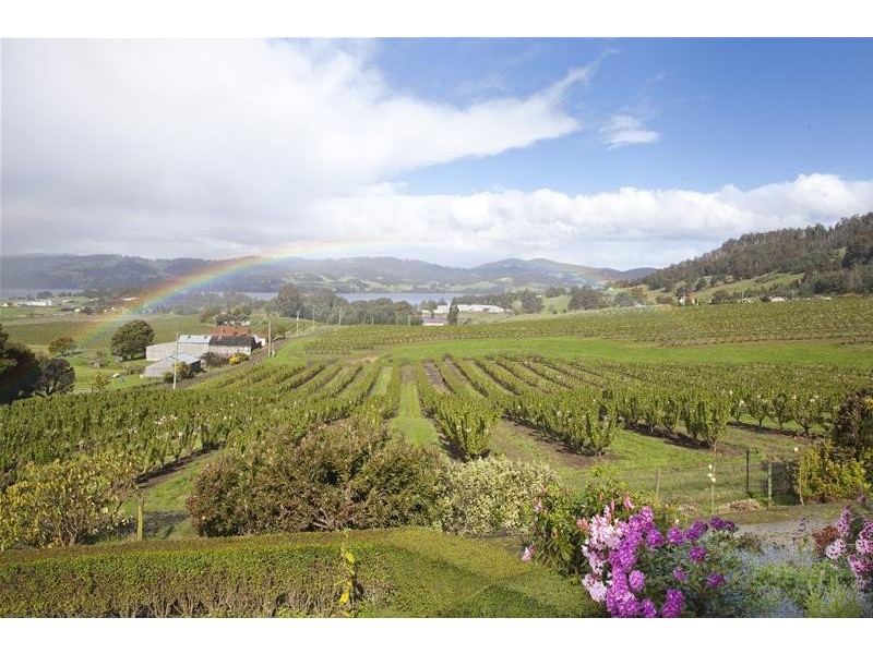 119 Crowthers Road, Castle Forbes Bay TAS 7116