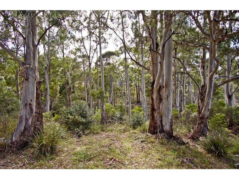 24 Percy Street, Port Huon TAS 7116