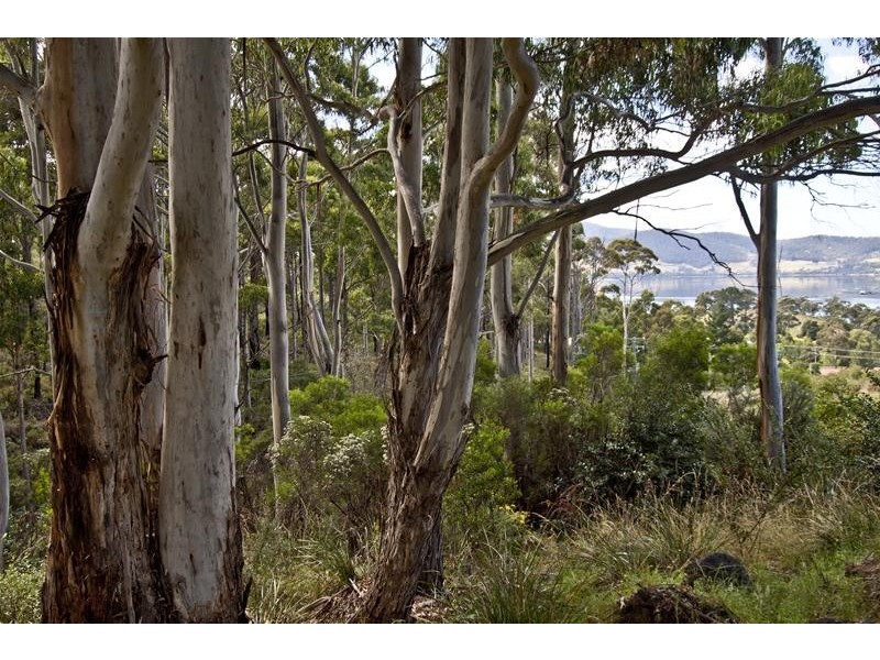 24 Percy Street, Port Huon TAS 7116