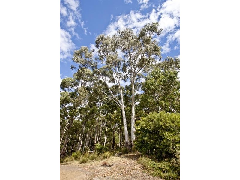 24 Percy Street, Port Huon TAS 7116