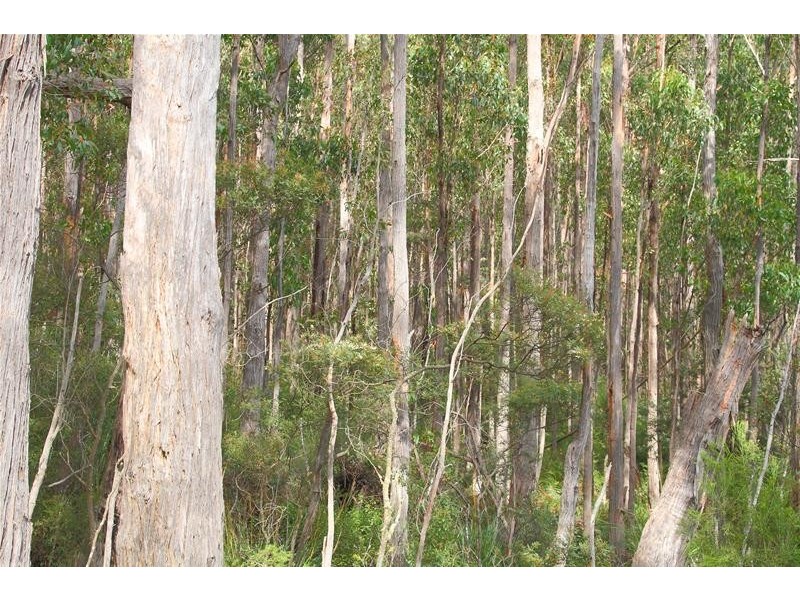 5 Sandhill Road, Cradoc TAS 7109